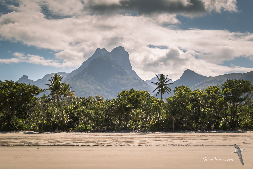 Hinchinbrook Island Peaks