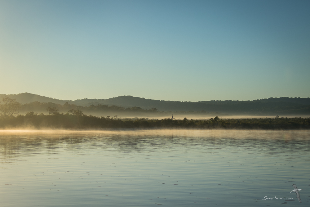 This image has an empty alt attribute; its file name is sandy-straits-0432-1.jpg