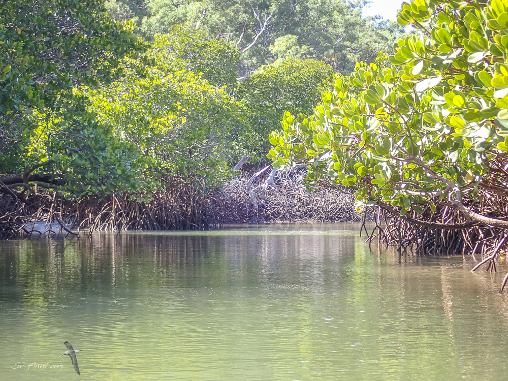 The tidal lagoon at Great Keppel Island