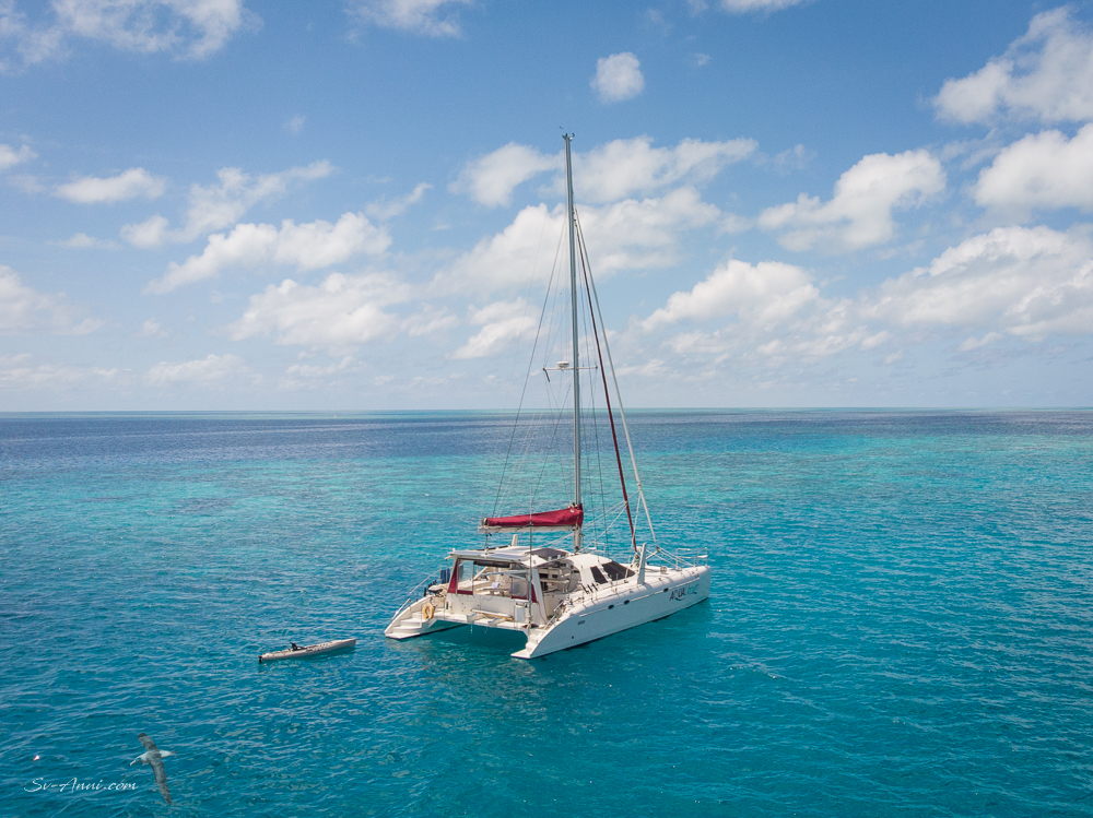 Aqualibrium at Little Black Reef