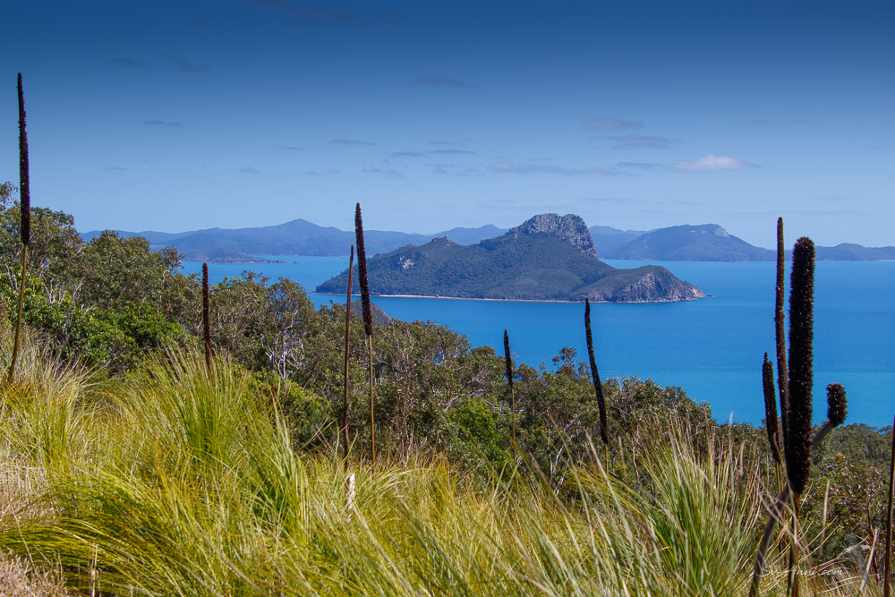 Pentecost Island and the Whitsundays