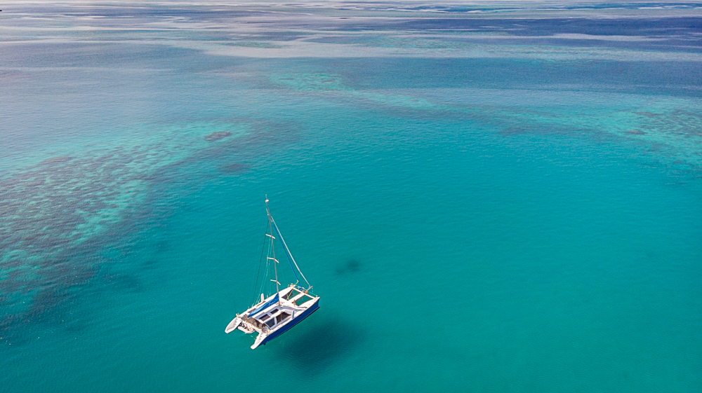Black Reef Dive Site Guide — Southern Great Barrier Reef, QLD