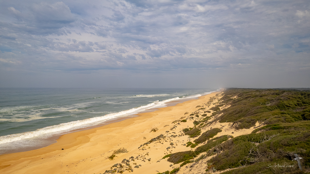 Ninety Mile Beach