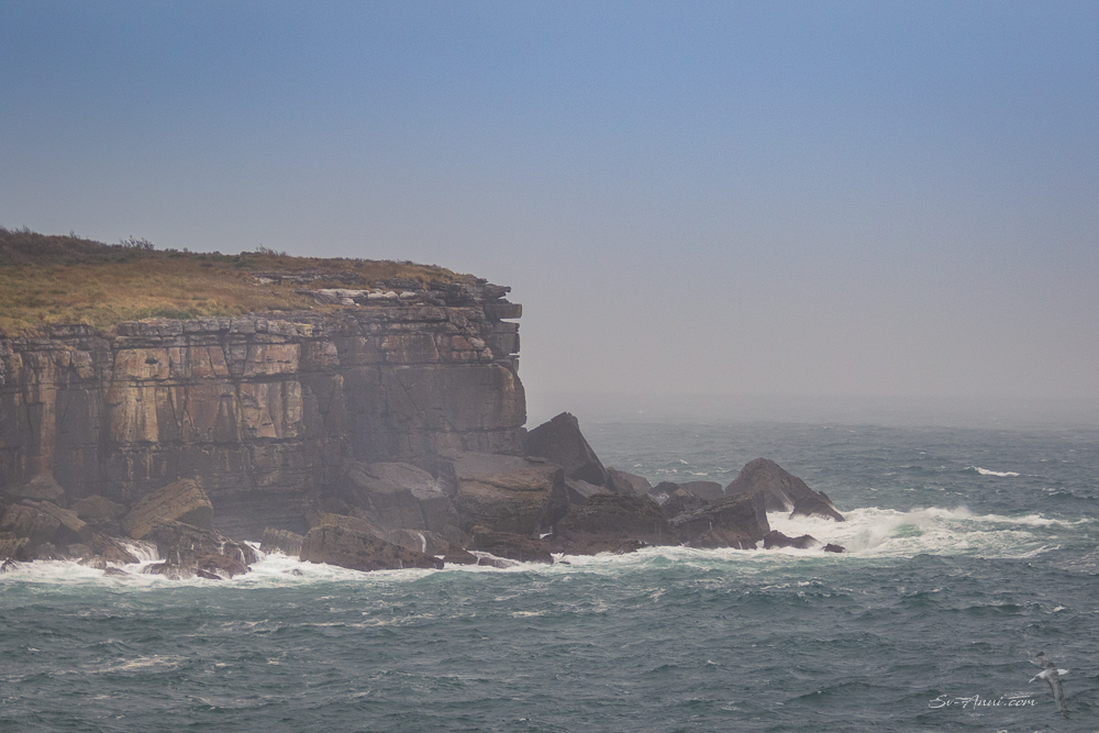 Cliffs at Bowen Island, Jervis Bay