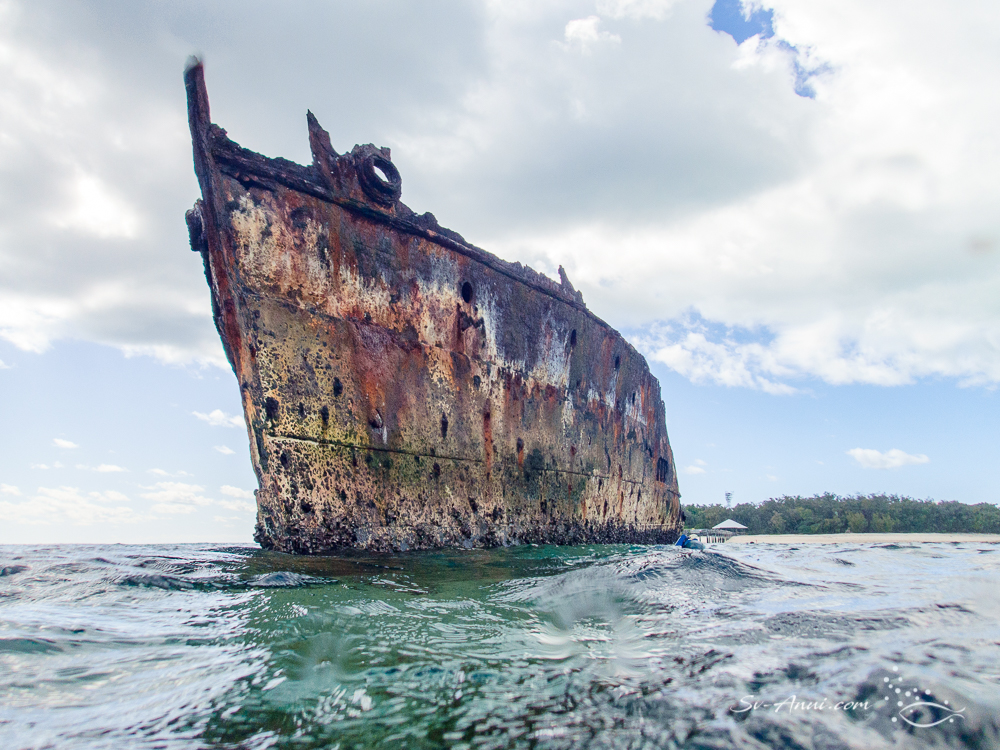 The wreck of HMS Protector