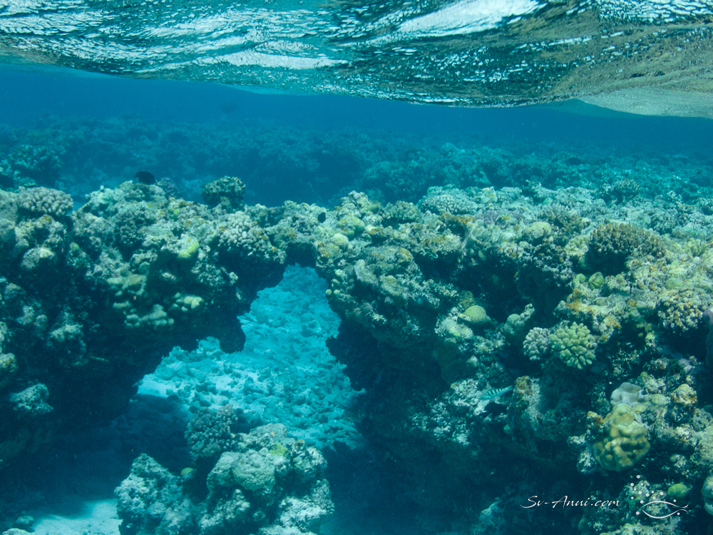 Barren seascape at Holmes Reef West