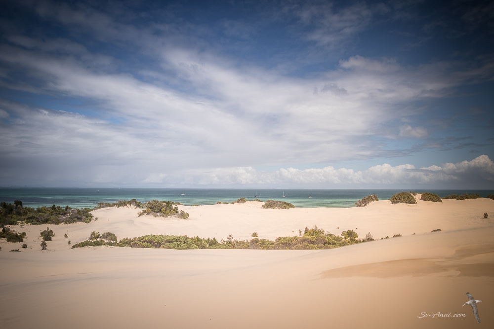 View from Little Sandhill