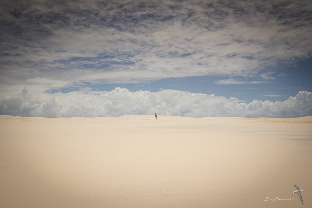 Top of Little Sandhill