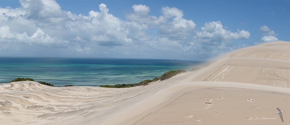 View from Big Sandhill