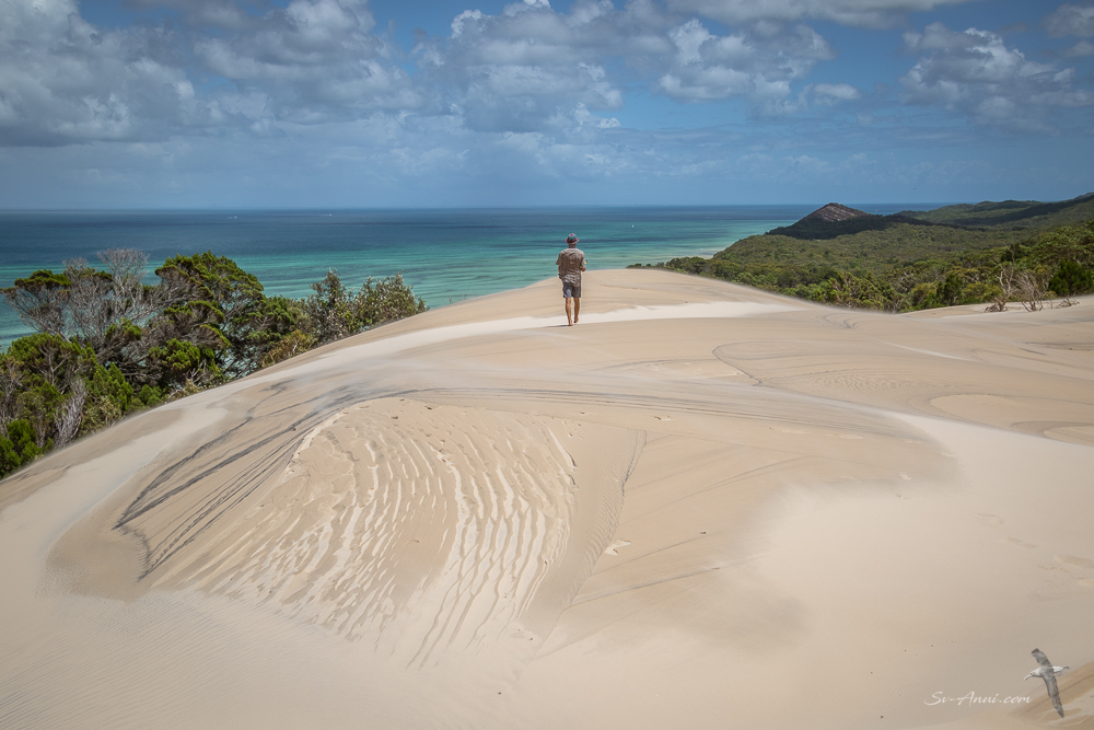 Summit of Big Sandhill