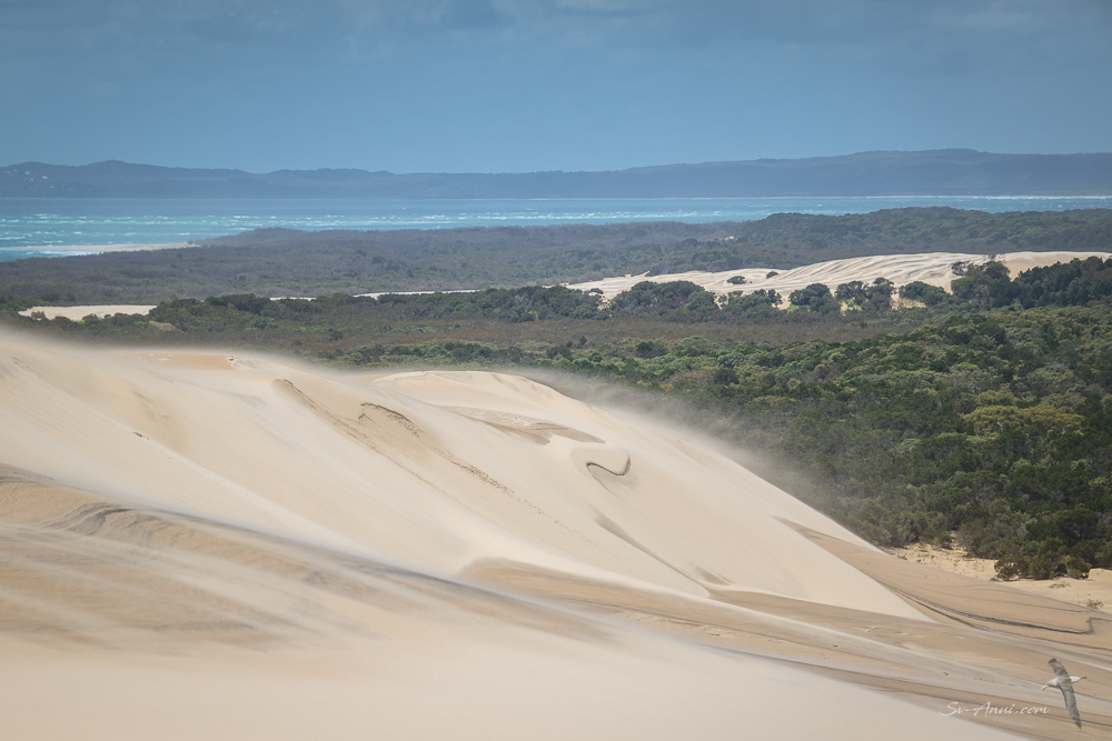 The view from Big Sandhill