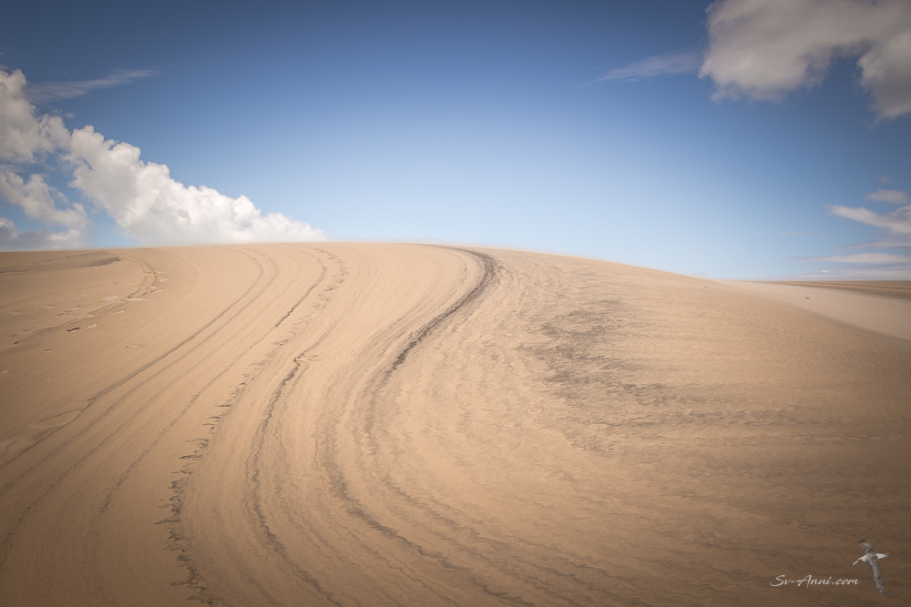 Patterns in the sand