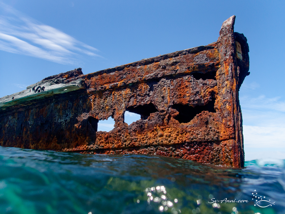 Tangalooma Wreck