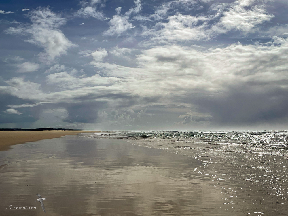 Jumpinpin looking north towards North Stradbroke