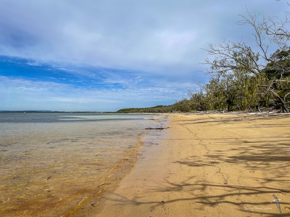 Peel Island