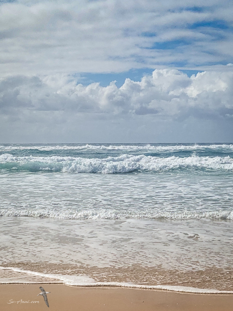 The ocean at Tipplers