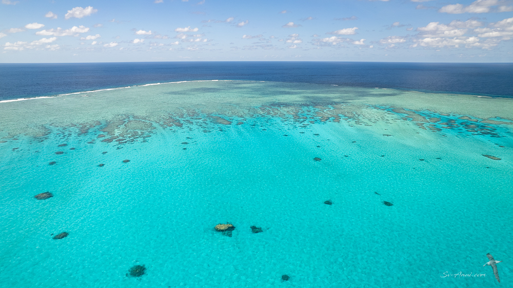 SE Corner of Flora Reef