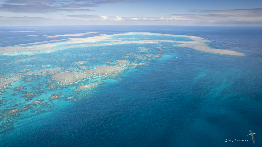 Kennedy Reef looking south