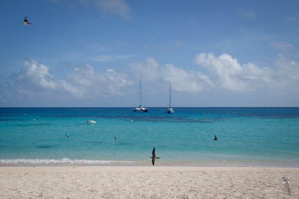 Michaelmas Cay Moorings