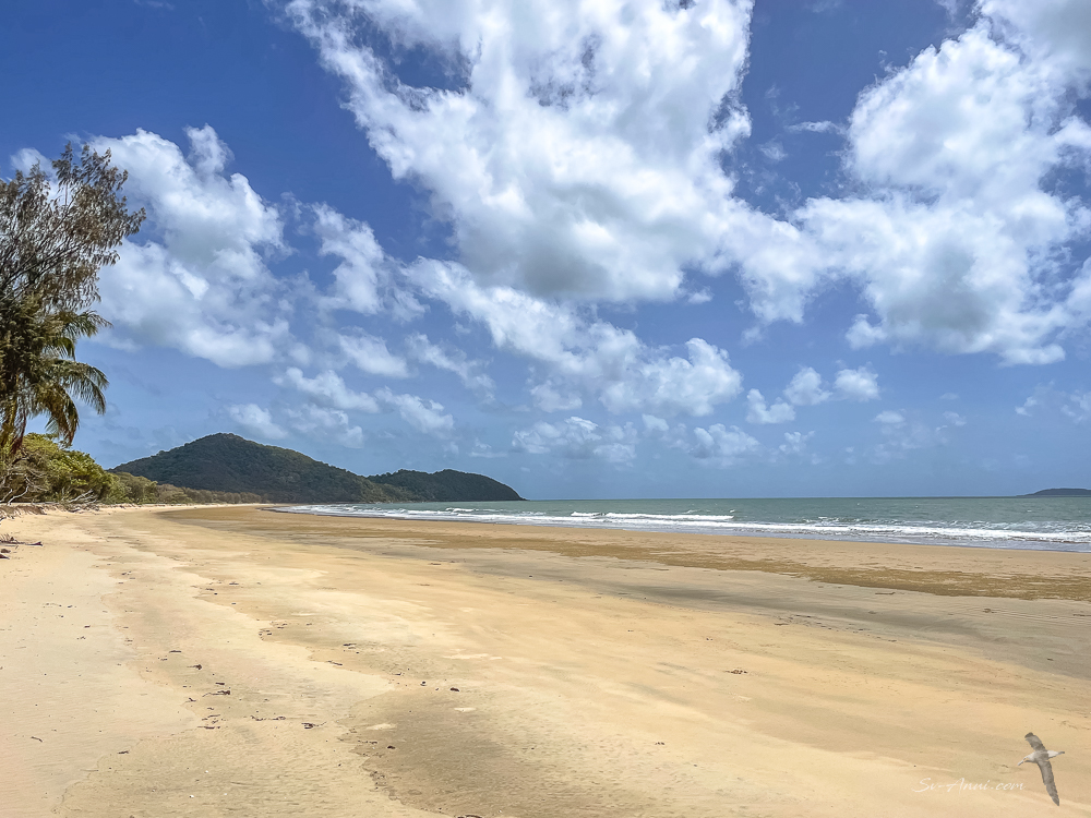 North Shepherd Beach, Hinchinbrook Island
