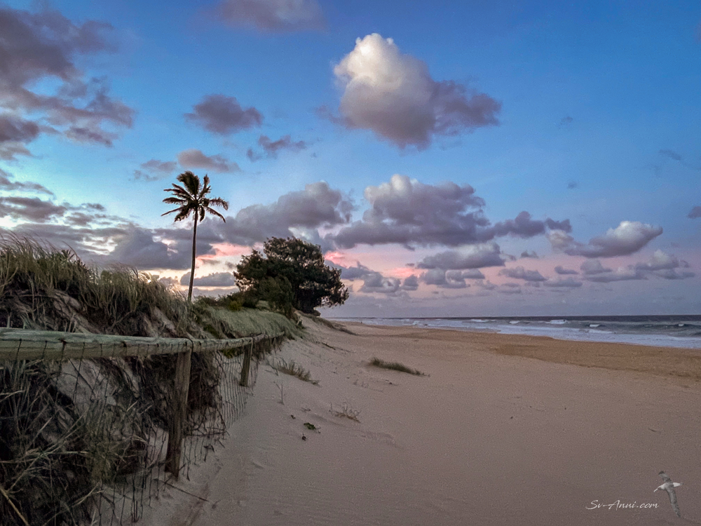 Evening at Main Beach