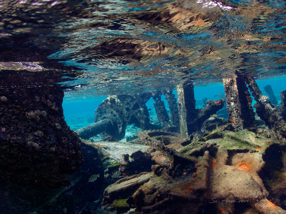 Wreckage at Saumarez Reefs
