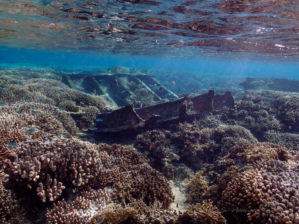 Wreckage at Saumarez Reefs