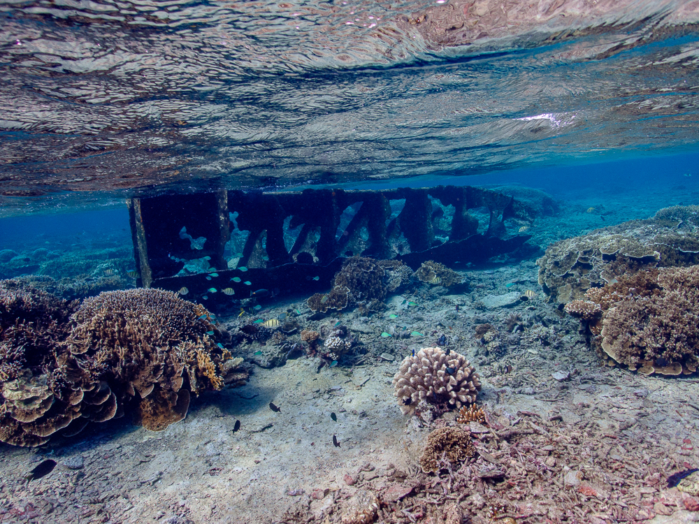 Wreckage at Saumarez Reefs