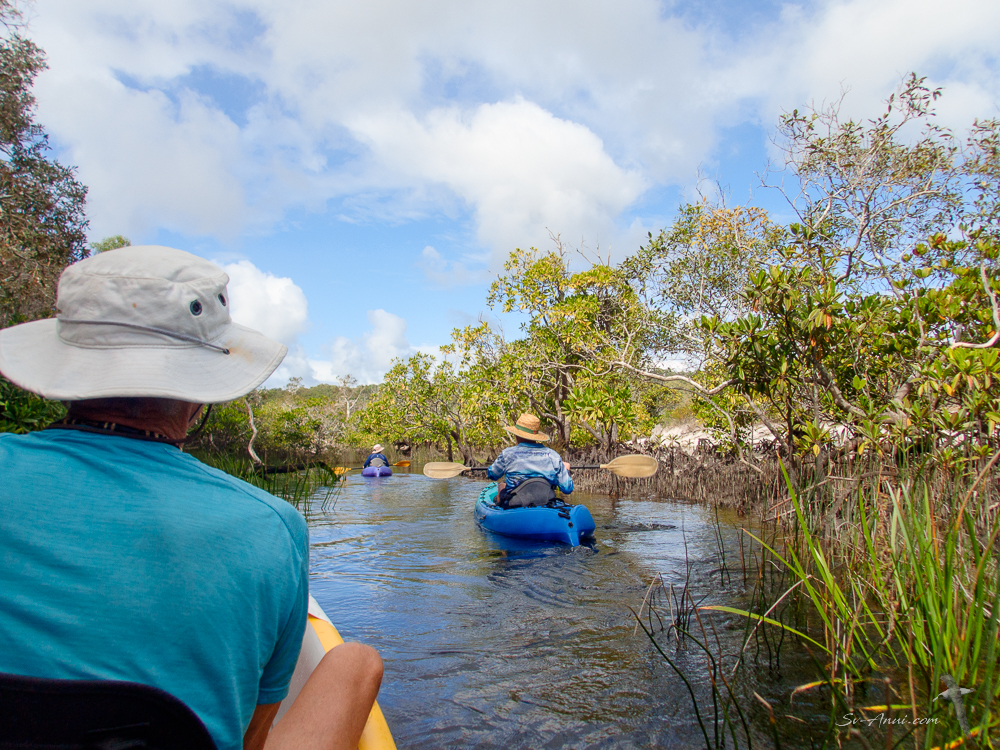 Meandering up Bowarrady Creek