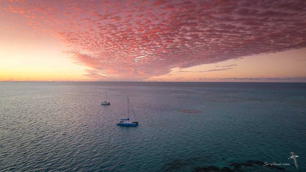 Dawn at Isobel Bennett Reef