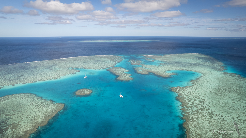 Surprise Reef - Swains