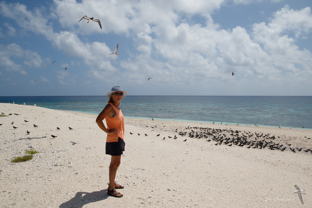 South West Cay - Lihou