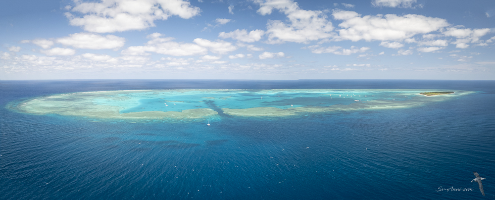 Panoramic of Lady Musgrave