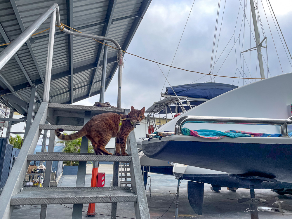 Bengie at Boat Works