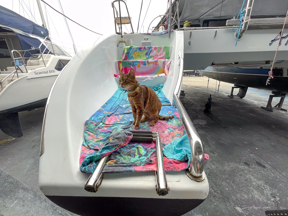 Bengie at Boat Works