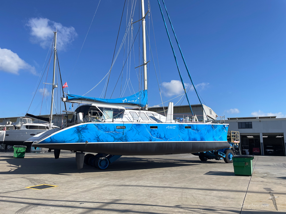 Anui going back in the water