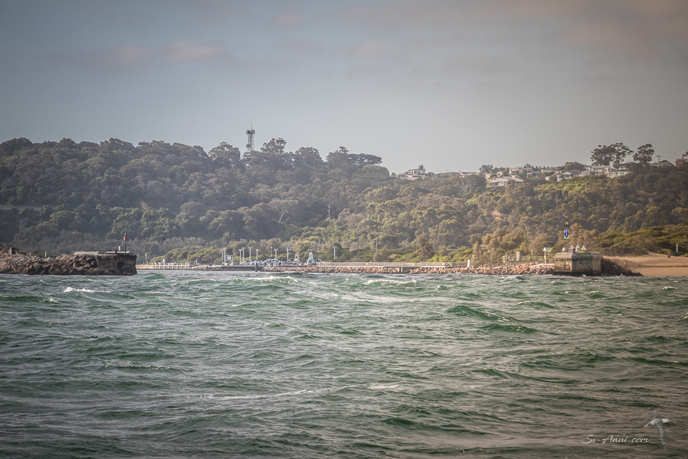 Lined up to get in at Lakes Entrance