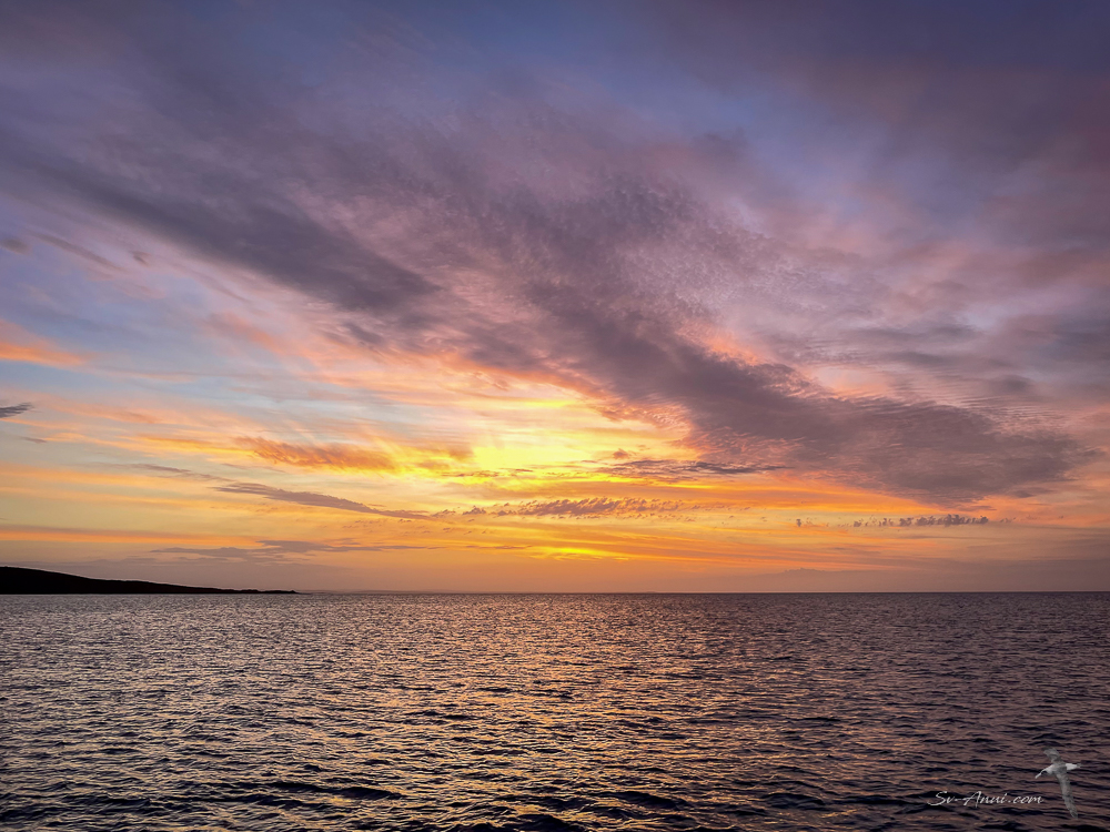 Sunset at The Croppies