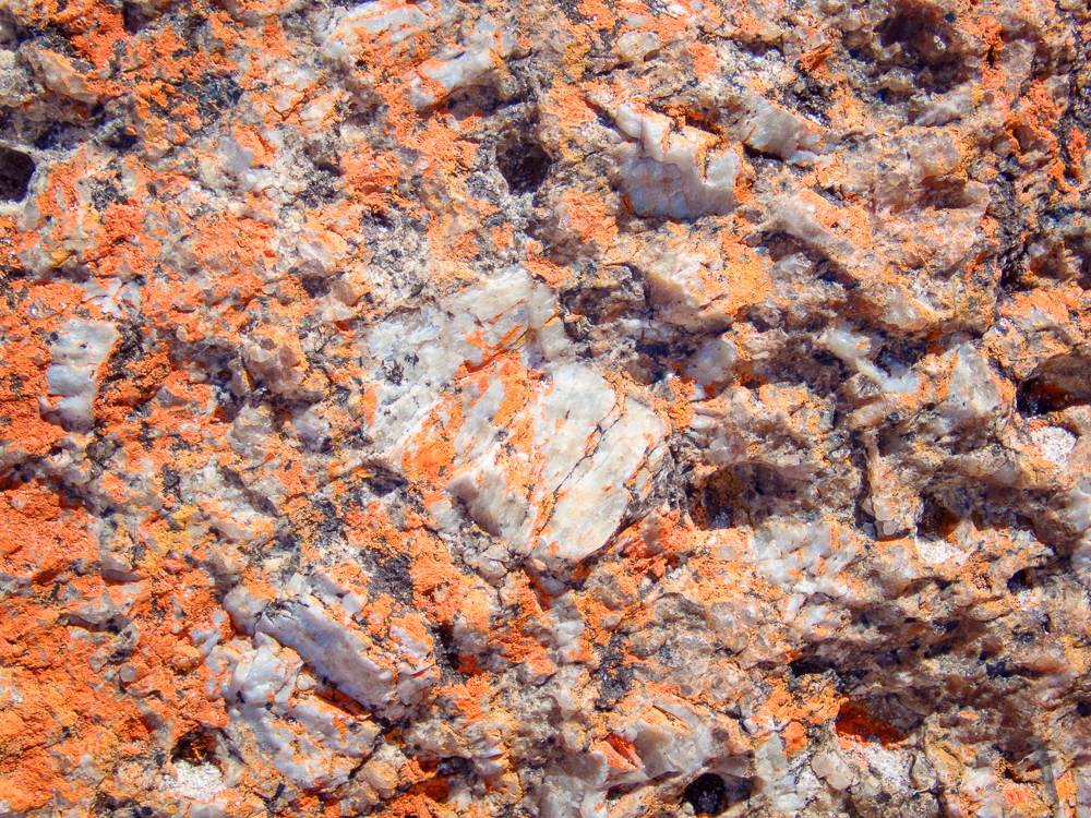 Orange lichen on granite