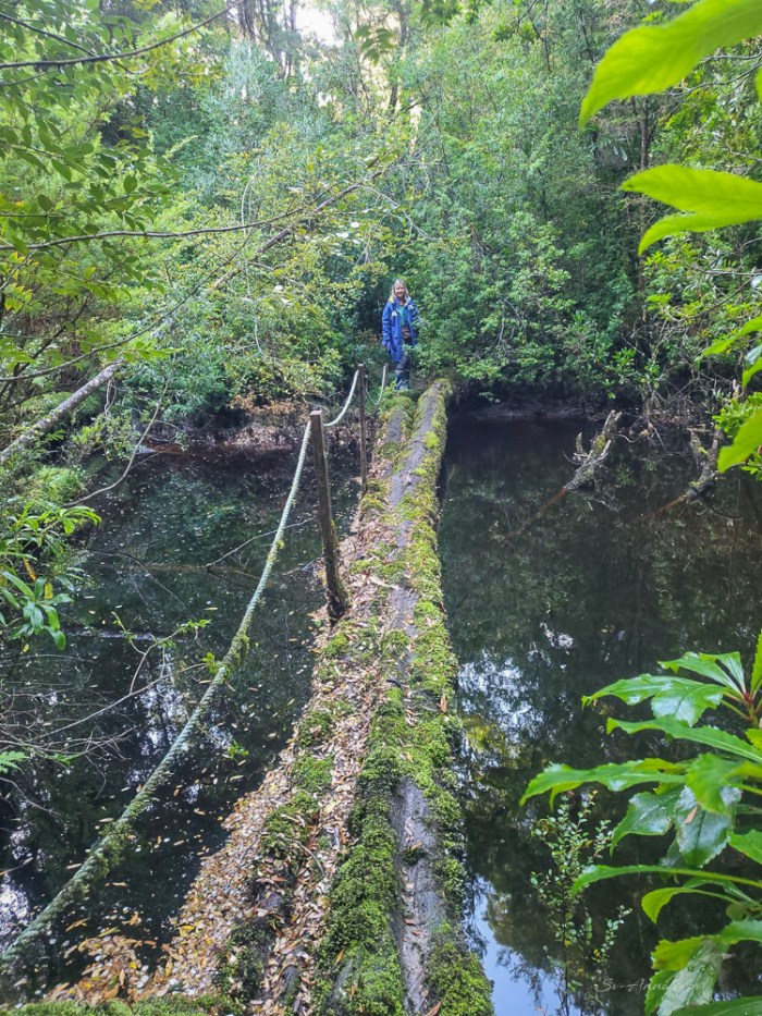 Eagle Creek Crossing