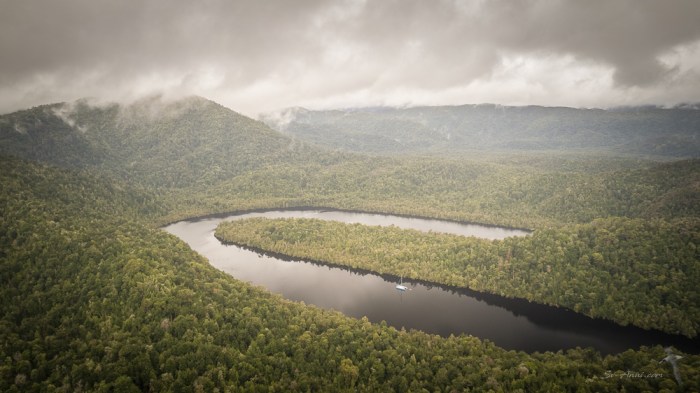 Horseshoe Bend, Gordon River
