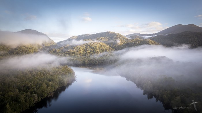 Early morning mist, Gordon River