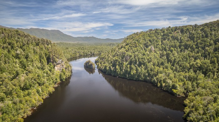 Butlers Island, Gordon River