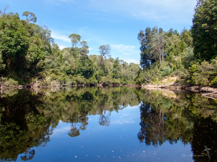 Franklin River Reflections
