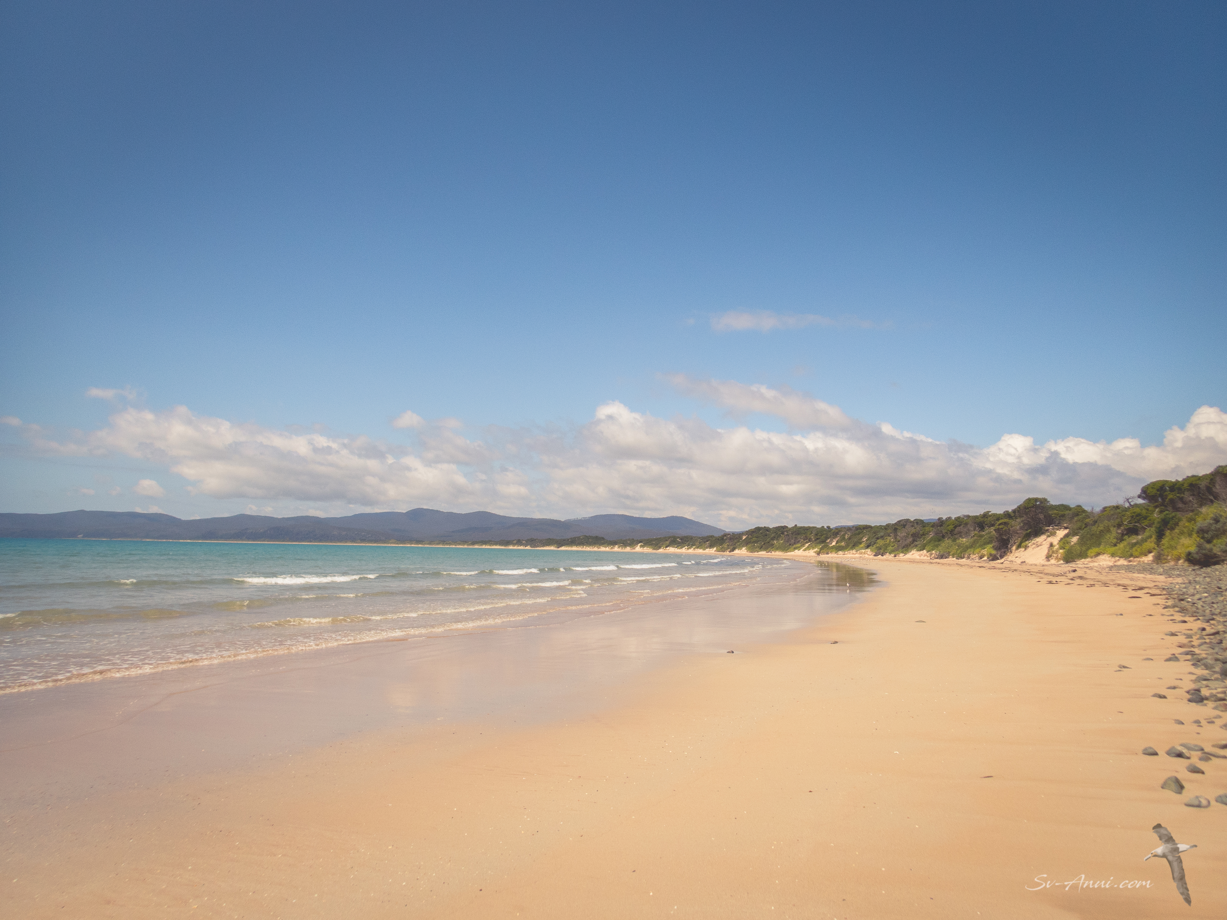Ocean Beach at Narawntapu National Park