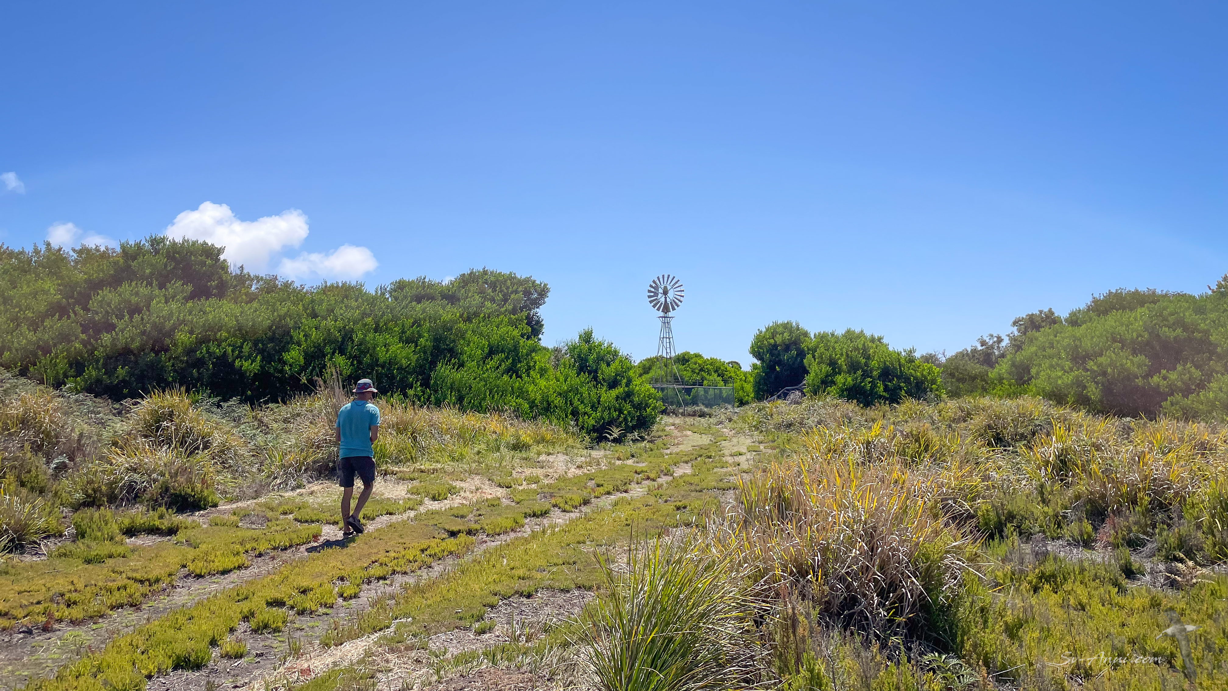 track at Narawntapu National Park