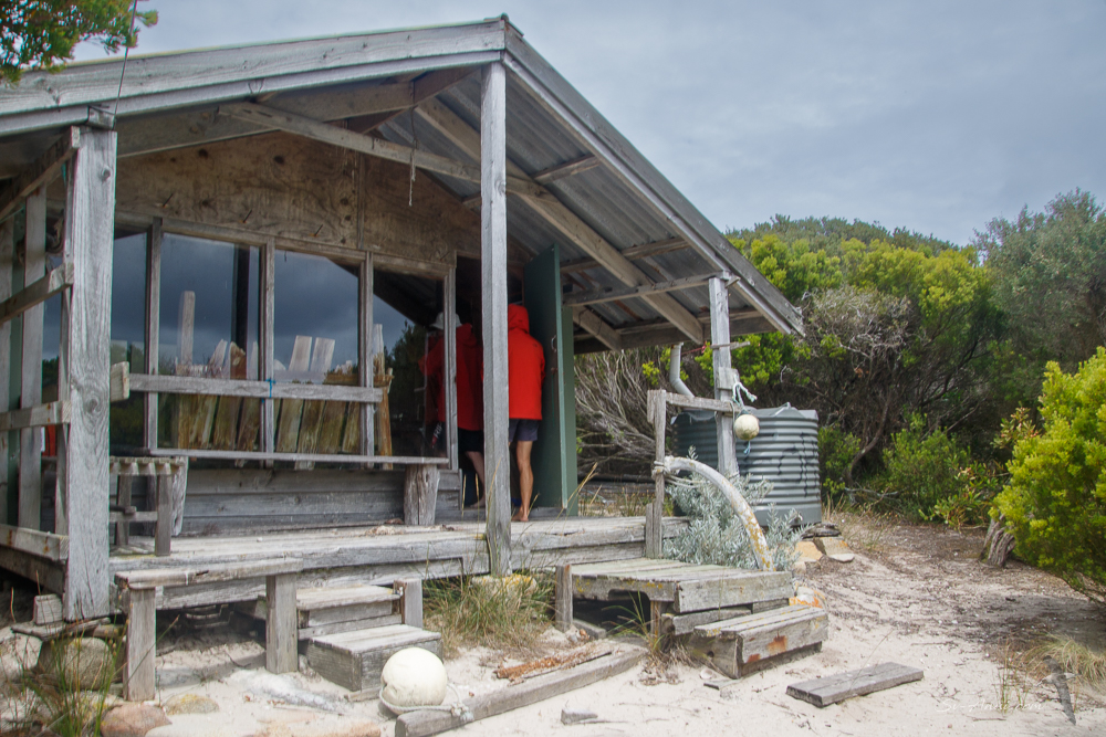 The hut at Roydon Island