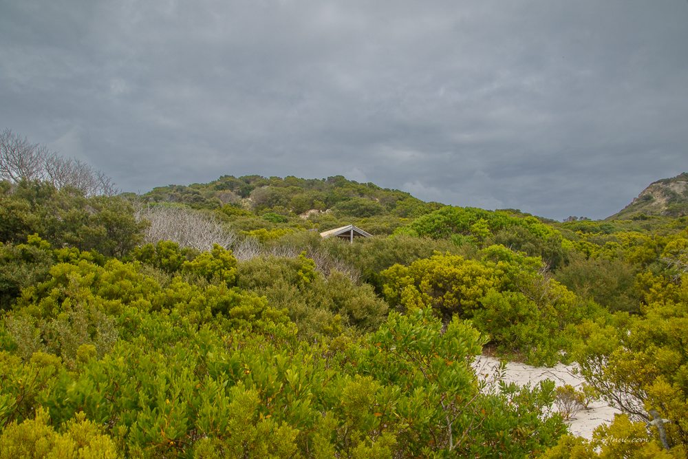 The hut at Roydon Island