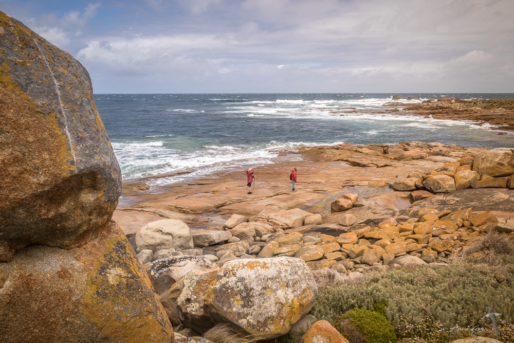 Walk along the rocky shores at Roydon
