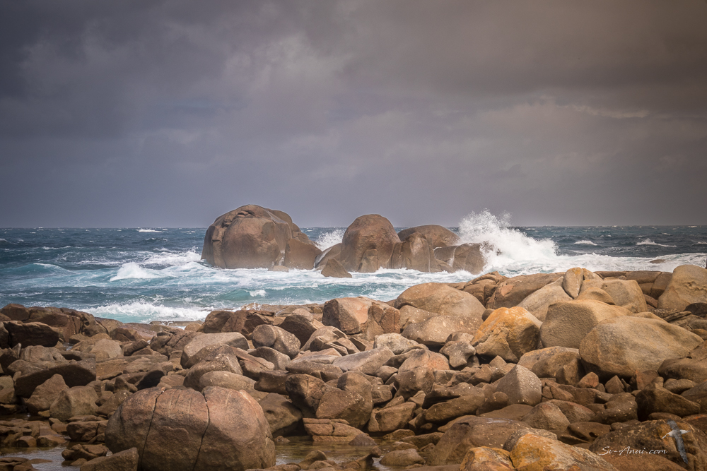 Wild shores at Roydon Island